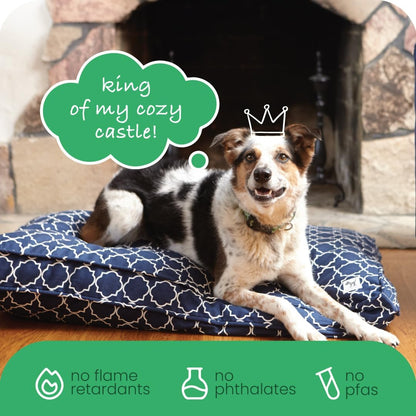 Molly Mutt Medium to Large Dog Bed Cover- Forever Young Print - Measures 27”X36”X5’’ - 100% Cotton - Durable - Breathable - Sustainable - Machine Washable Dog Bed Cover (Dd82b)