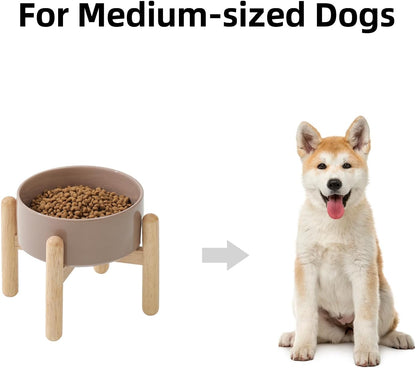 Havniva 8.3inch Ceramic Raised Dog Bowl with Stand, Elevated Dog Bowls for Large Breed Dog Food and Water Bowl Non-Slip Dog Dish Large Capacity Feeding Pet Water Bowl