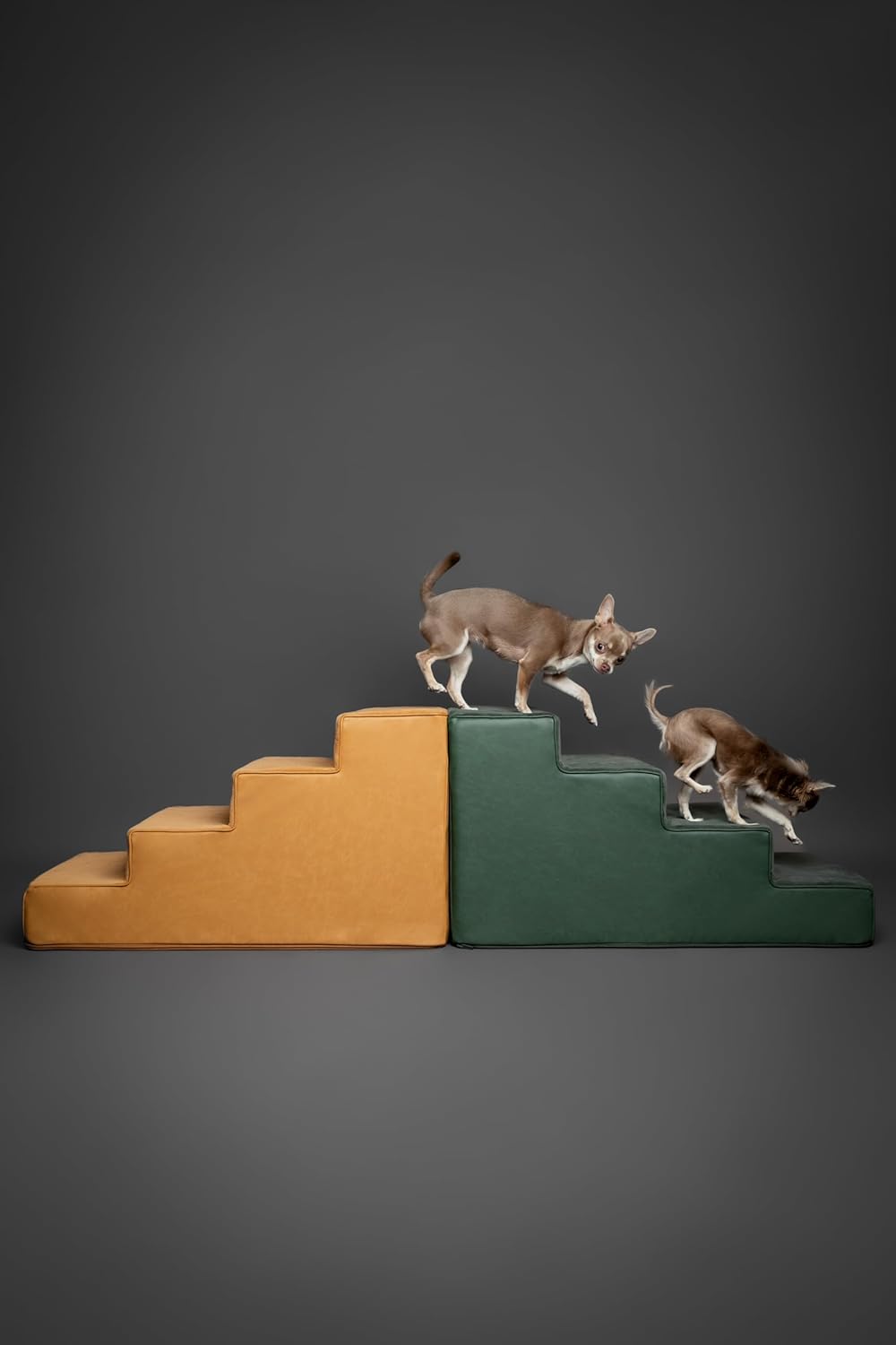 Noah & Paw Dog Stairs, Dog Ramp for Bed (20" Extra Wide) Pet Stairs for High Bed, Design to Fit Small and Large Breeds, Durable 5 Pet Steps for Couch (35 Foam Density) Leather Collection