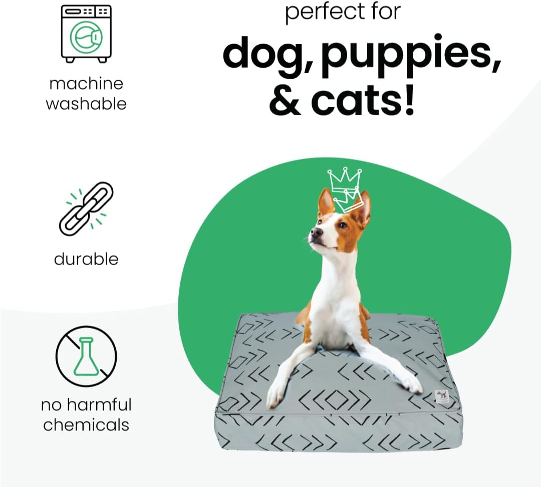 Molly Mutt Medium to Large Dog Bed Cover- Forever Young Print - Measures 27”X36”X5’’ - 100% Cotton - Durable - Breathable - Sustainable - Machine Washable Dog Bed Cover (Dd82b)