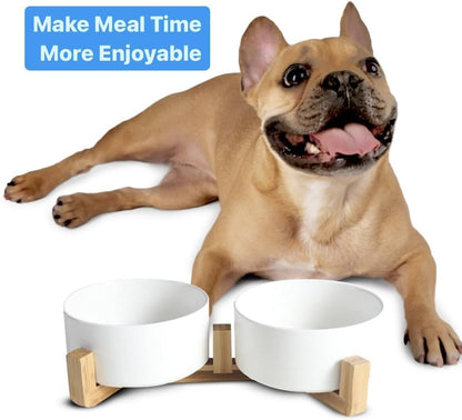 Ceramic Cat and Small Dog Bowl Set – Modern Indoor Small Size Pet Food and Water Bowls with Wood Stand – Non Slip Puppy Sized Feeding Station with Double Dishes (Gray)