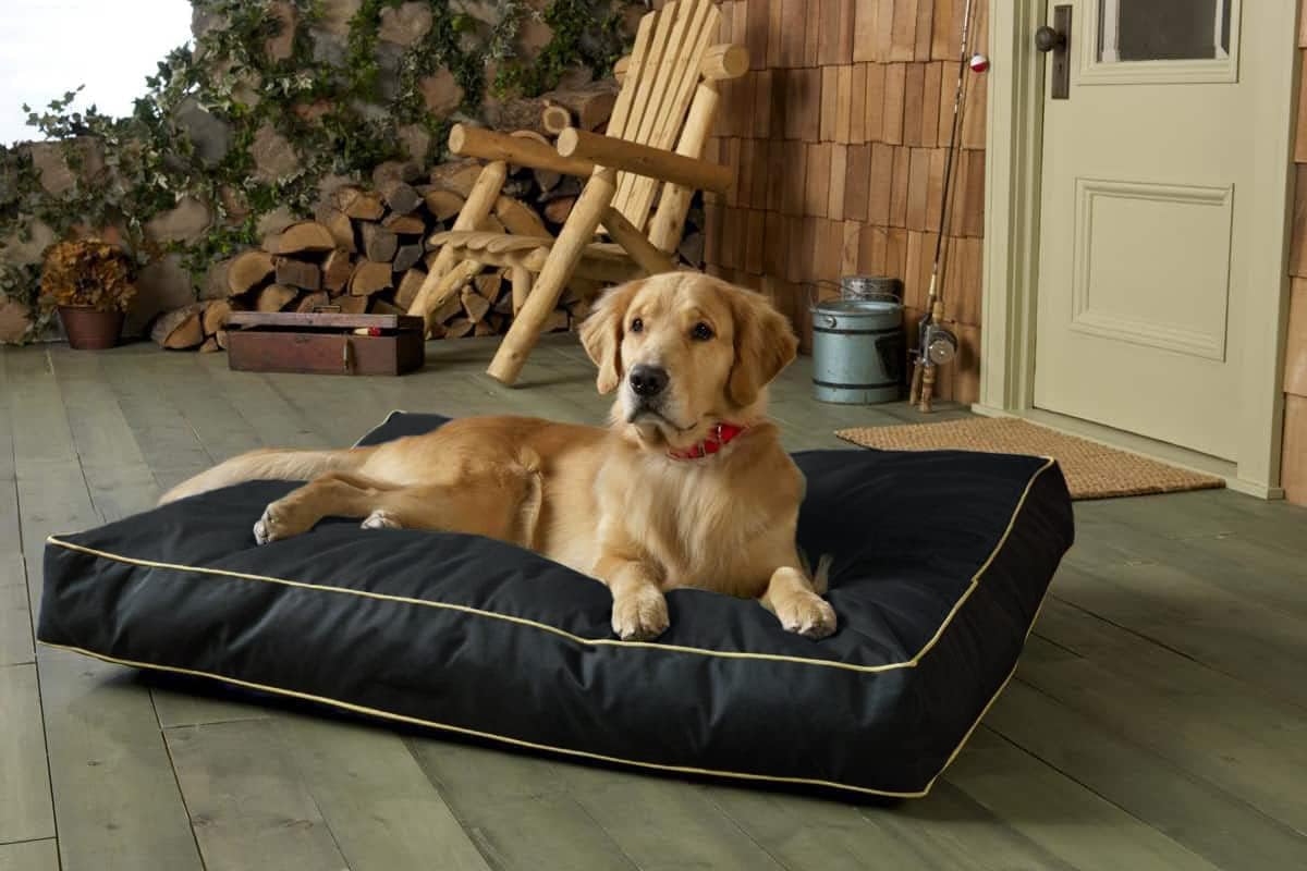 Dog Bed Cover,Waterproof Tough Plastic DIY Pet Bed Cover,Non Stick Hair Easy to Clean Rectangular Fillable Dog Bed Covers with Zipper(Dark Grey,44" L x 32" W x 4" Th,Cover Only)