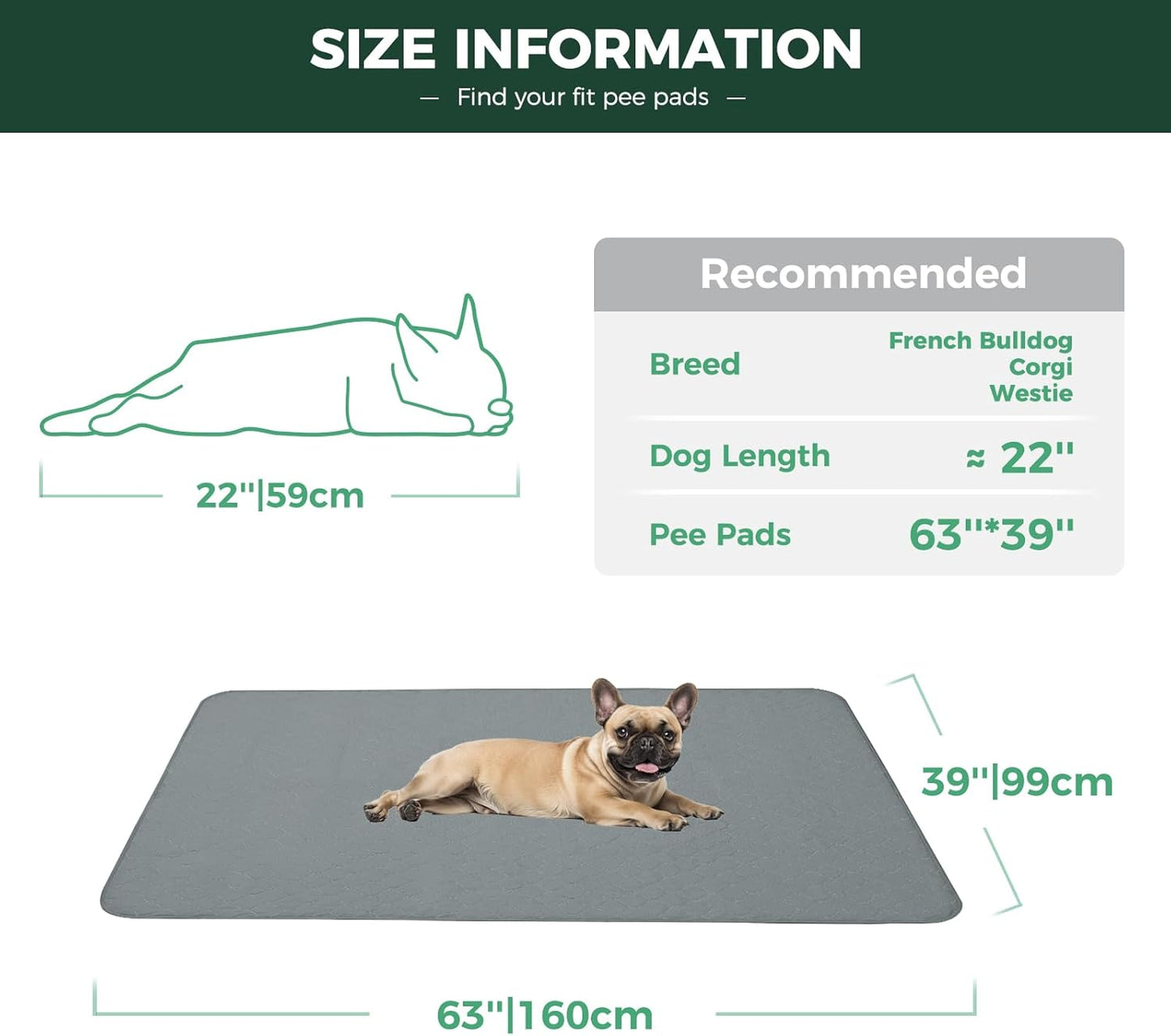 FXW Washable Pee Pads for Dogs, Puppy Pads with Super Absorbent, Specifically Designed for FXW Rollick/Homeplus 24inch 6 Panels Dog Playpen, 39" x 63" Rectangle, Khaki, 1 Pack