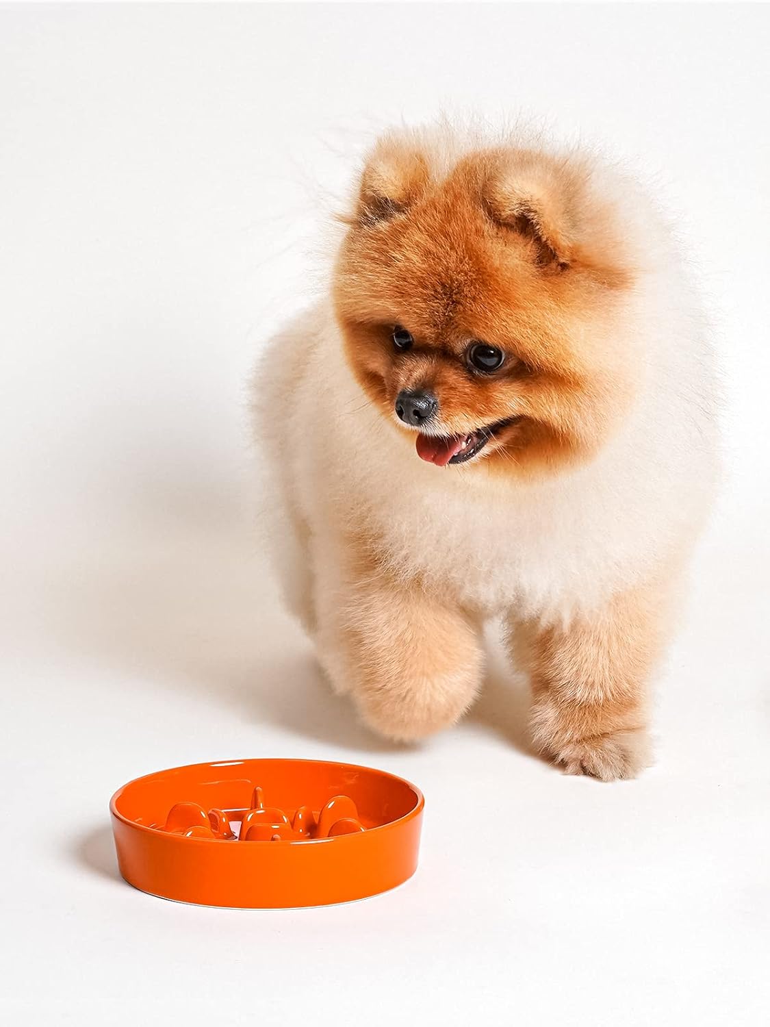 LE TAUCI Dog Bowls Slow Feeder Ceramic, 1.5 Cup Slow Feeding Bowl for Small and Medium Breed, Puzzle Dog Food Bowl for Fast Eater, Maze Purple
