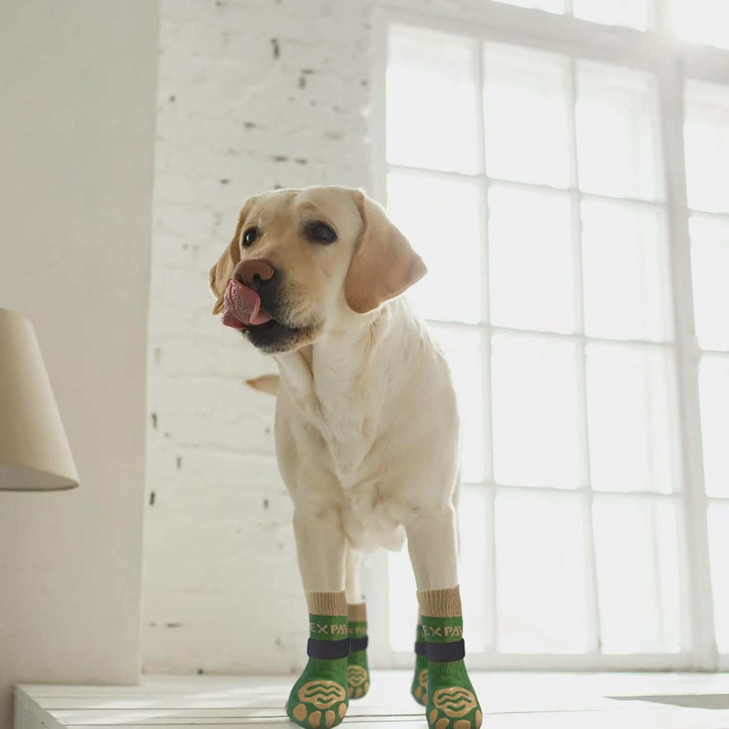 EXPAWLORER 6Pcs Anti-Slip Dog Socks to Prevent Licking Paws,Dog Shoes for Hot Pavement,Dog Booties Traction Control on Hardwood Floor,Boots & Paw Protectors, for Puppy Small Medium Large Senior Dogs