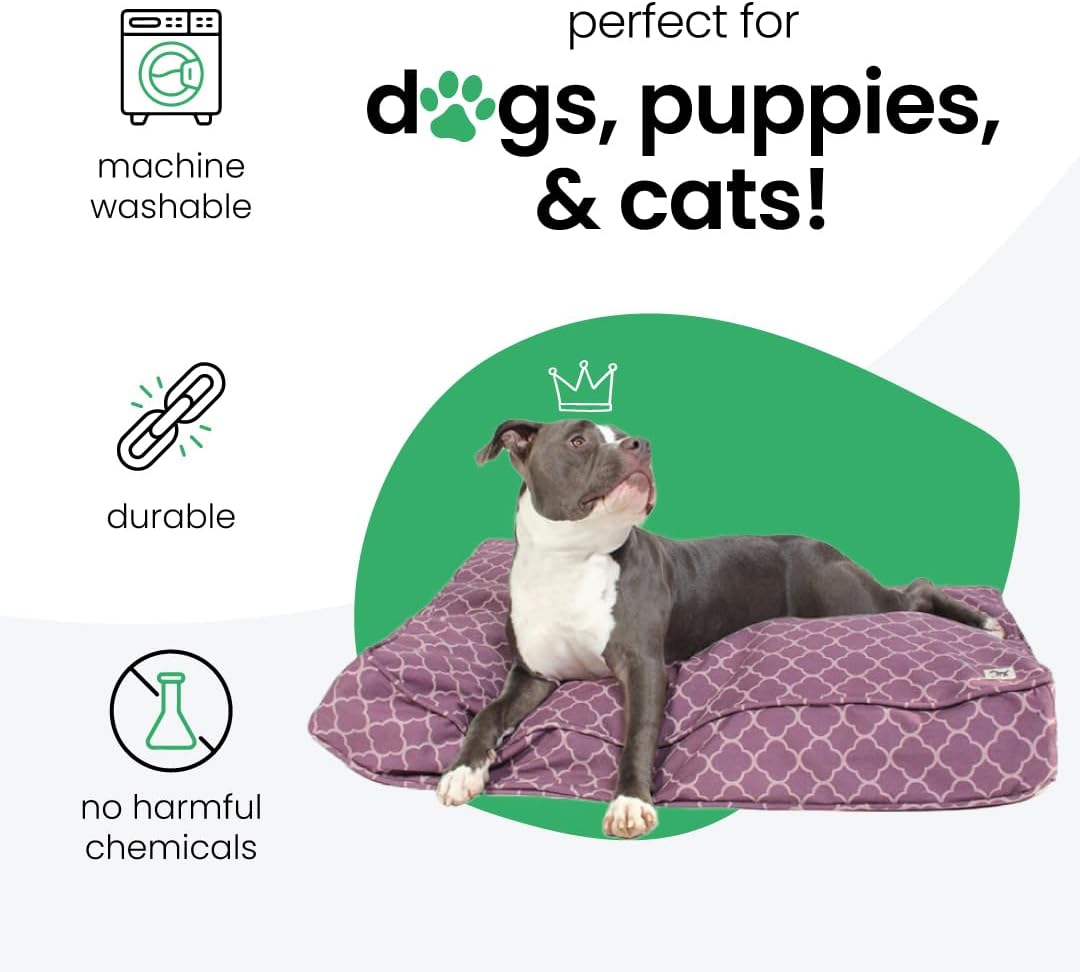 Molly Mutt Medium to Large Dog Bed Cover- Forever Young Print - Measures 27”X36”X5’’ - 100% Cotton - Durable - Breathable - Sustainable - Machine Washable Dog Bed Cover (Dd82b)