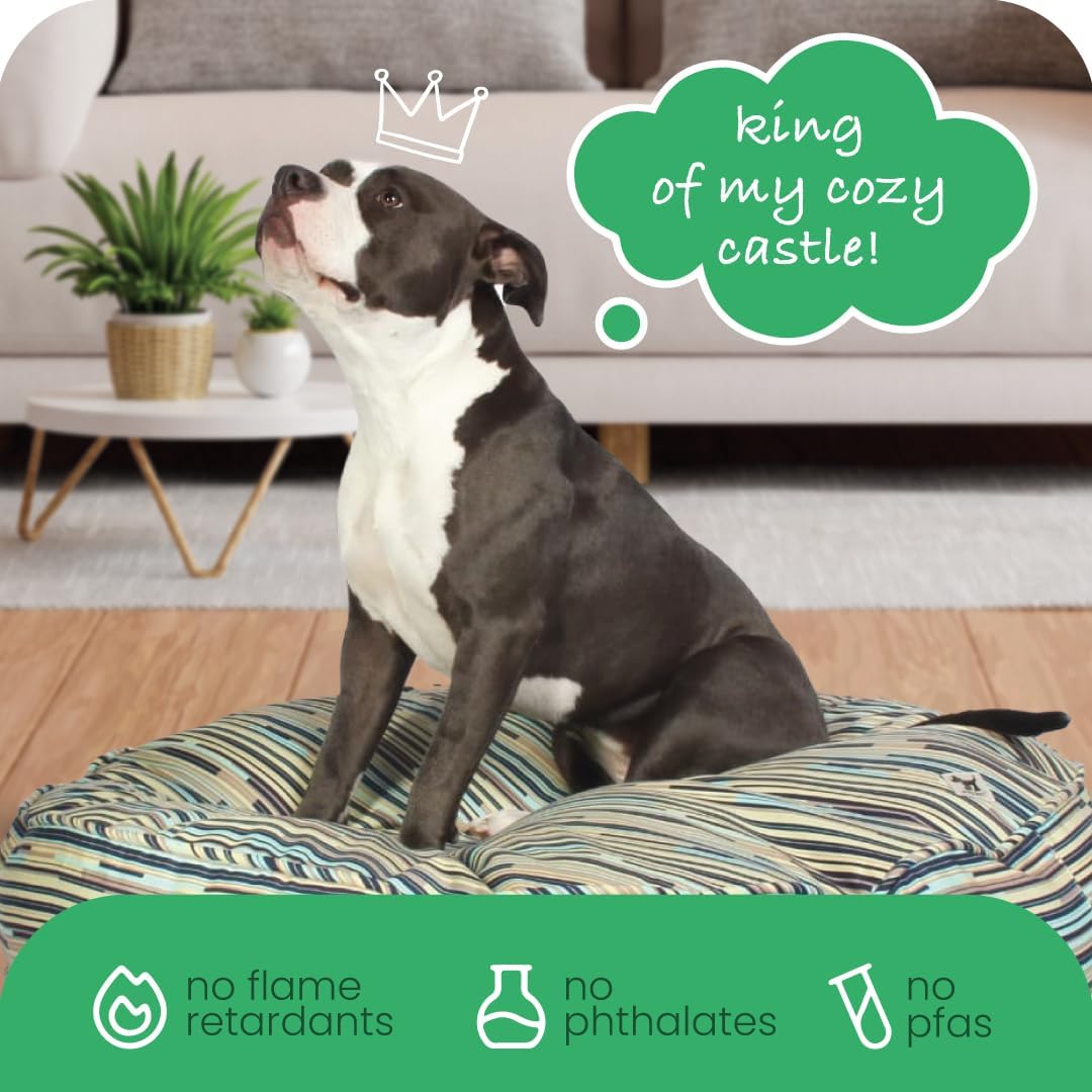 Molly Mutt Medium to Large Dog Bed Cover- Forever Young Print - Measures 27”X36”X5’’ - 100% Cotton - Durable - Breathable - Sustainable - Machine Washable Dog Bed Cover (Dd82b)
