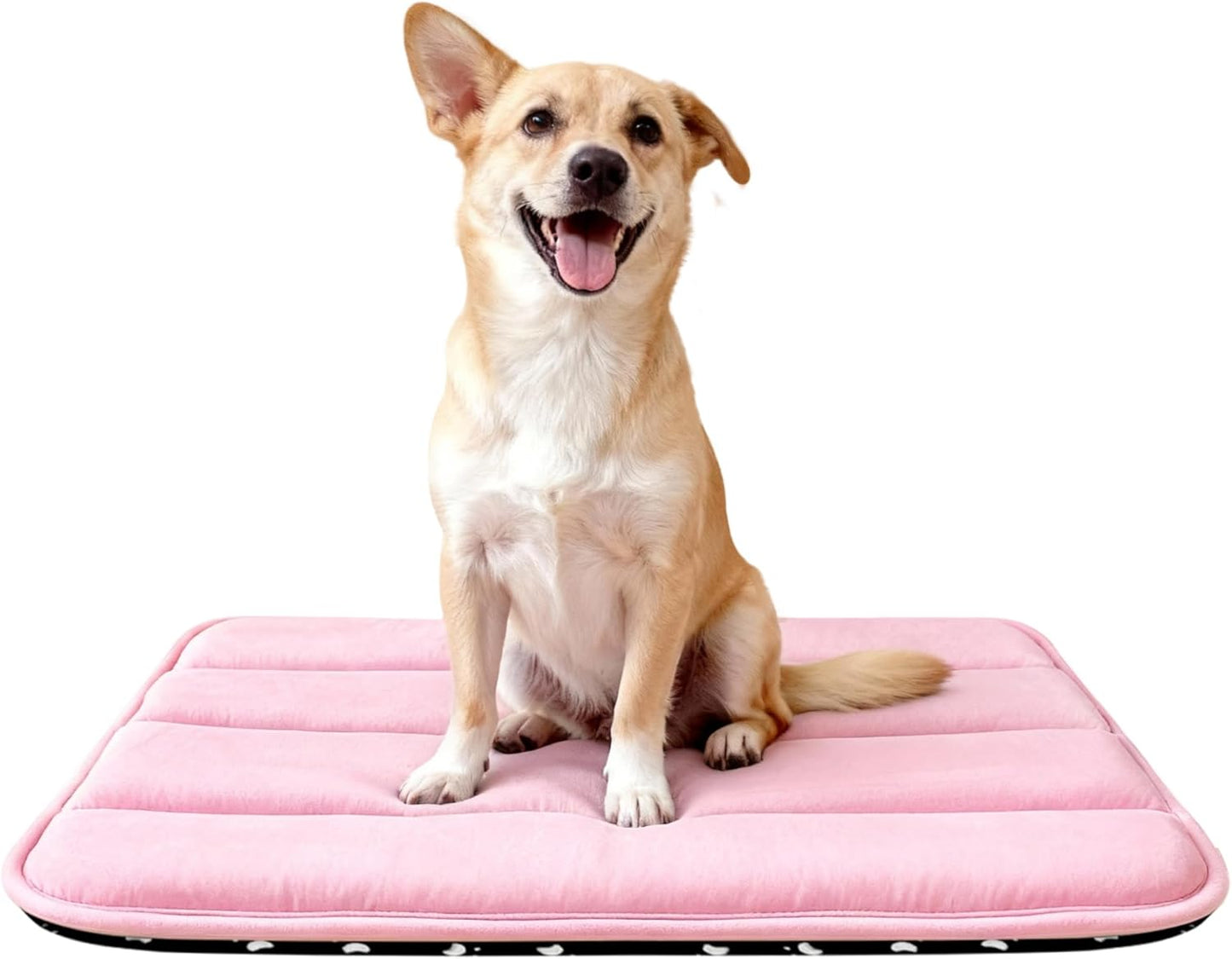 Dog Bed Mat, Reversible Crate Pad & Cute Dog Bed - Machine Washable Kennel Mat with Ultra Soft for Small Dogs (Cool/Warm), 24" x 18", Grey&Star