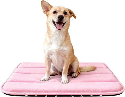 Dog Bed Mat, Reversible Crate Pad & Cute Dog Bed - Machine Washable Kennel Mat with Ultra Soft for Small Dogs (Cool/Warm), 24" x 18", Grey&Star