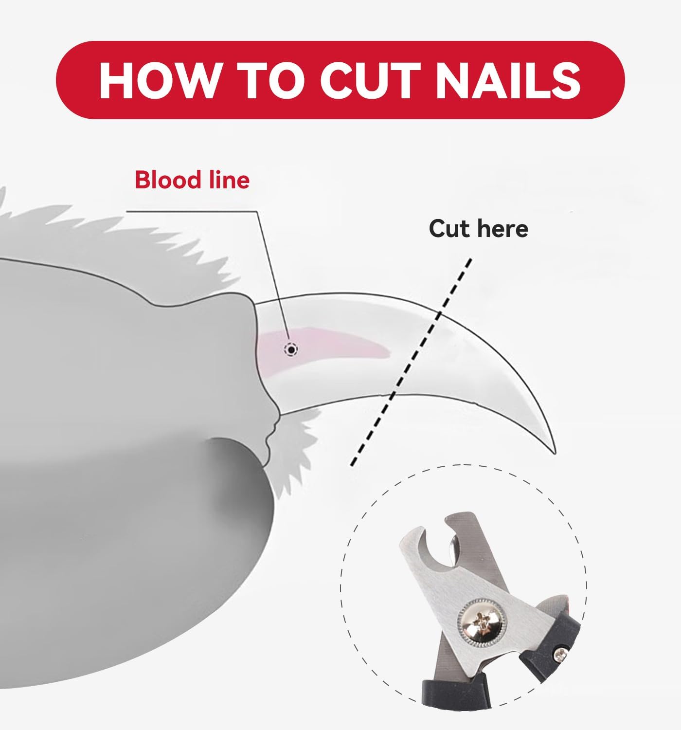 4.72 inch Dog Nail Clippers for Small Dogs, Ultra Sharp Stainless Cat Nail Clippers with Guard for Dogs, Cats, Rabbits and Guinea Pigs, Free Nail File(C Style)