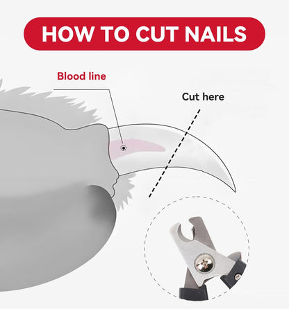 4.72 inch Dog Nail Clippers for Small Dogs, Ultra Sharp Stainless Cat Nail Clippers with Guard for Dogs, Cats, Rabbits and Guinea Pigs, Free Nail File(C Style)