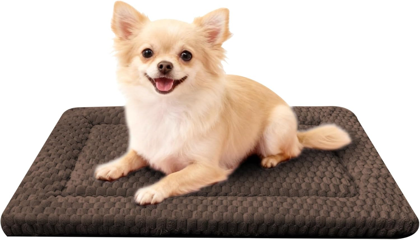 Dog Bed Mat, Reversible Crate Pad & Cute Dog Bed - Machine Washable Kennel Mat with Ultra Soft for Small Dogs (Cool/Warm), 24" x 18", Grey&Star