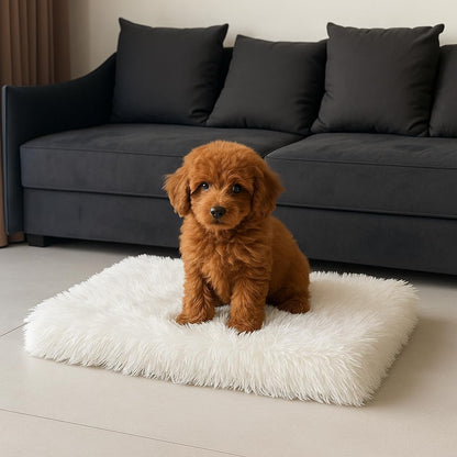 IHAPPYDOG Luxury Faux Fur Orthopedic Dog Bed, Memory Foam Dog Bed for Small, Medium, Large and XL Pets, Fluffy Pet Bed with Waterproof and Washable Cover (White w/Brown Tips, 50"x30")