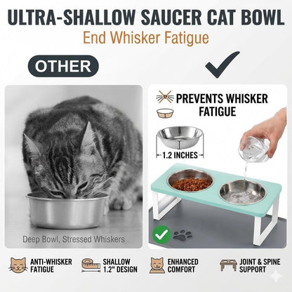 Upgraded Elevated Cat Bowls with Food Mat,15°Tilted Stand Anti Vomiting Raised Cat Dishes for Food and Water,2 Stainless Steel Bowls for Cats and Puppy