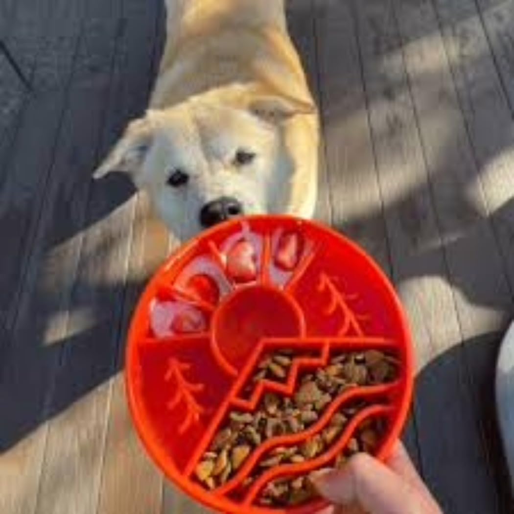 SodaPup Honeycomb Enrichment Bowl – Durable Slow Feeder Bowl Made in USA from Non-Toxic, Pet-Safe, Food Safe Material for Mental Stimulation, Slowing Down Eating, Healthy Digestion, & More