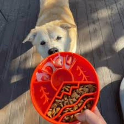 SodaPup Honeycomb Enrichment Bowl – Durable Slow Feeder Bowl Made in USA from Non-Toxic, Pet-Safe, Food Safe Material for Mental Stimulation, Slowing Down Eating, Healthy Digestion, & More