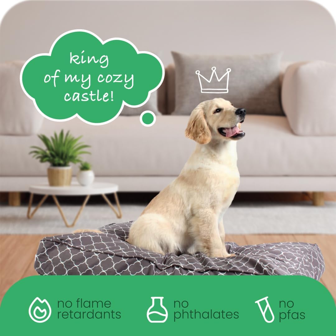 Molly Mutt Medium to Large Dog Bed Cover- Forever Young Print - Measures 27”X36”X5’’ - 100% Cotton - Durable - Breathable - Sustainable - Machine Washable Dog Bed Cover (Dd82b)
