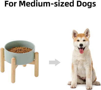 Havniva 8.3inch Ceramic Raised Dog Bowl with Stand, Elevated Dog Bowls for Large Breed Dog Food and Water Bowl Non-Slip Dog Dish Large Capacity Feeding Pet Water Bowl