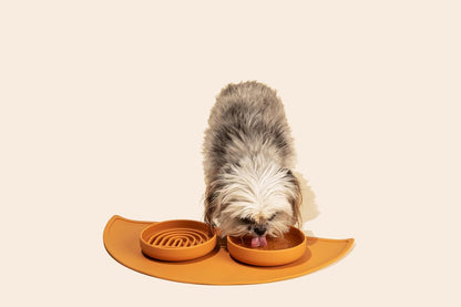 Should We Go? Dog Water Bowl - The Perfect Dish No-Spill, Less Mess Non-Tippable Water & Food Bowl, Pure Silicone with Suction Cup Fits 5 Cups 7.5" Across x 2.25" Tall, Ideal for All Pets, Medium-Sage