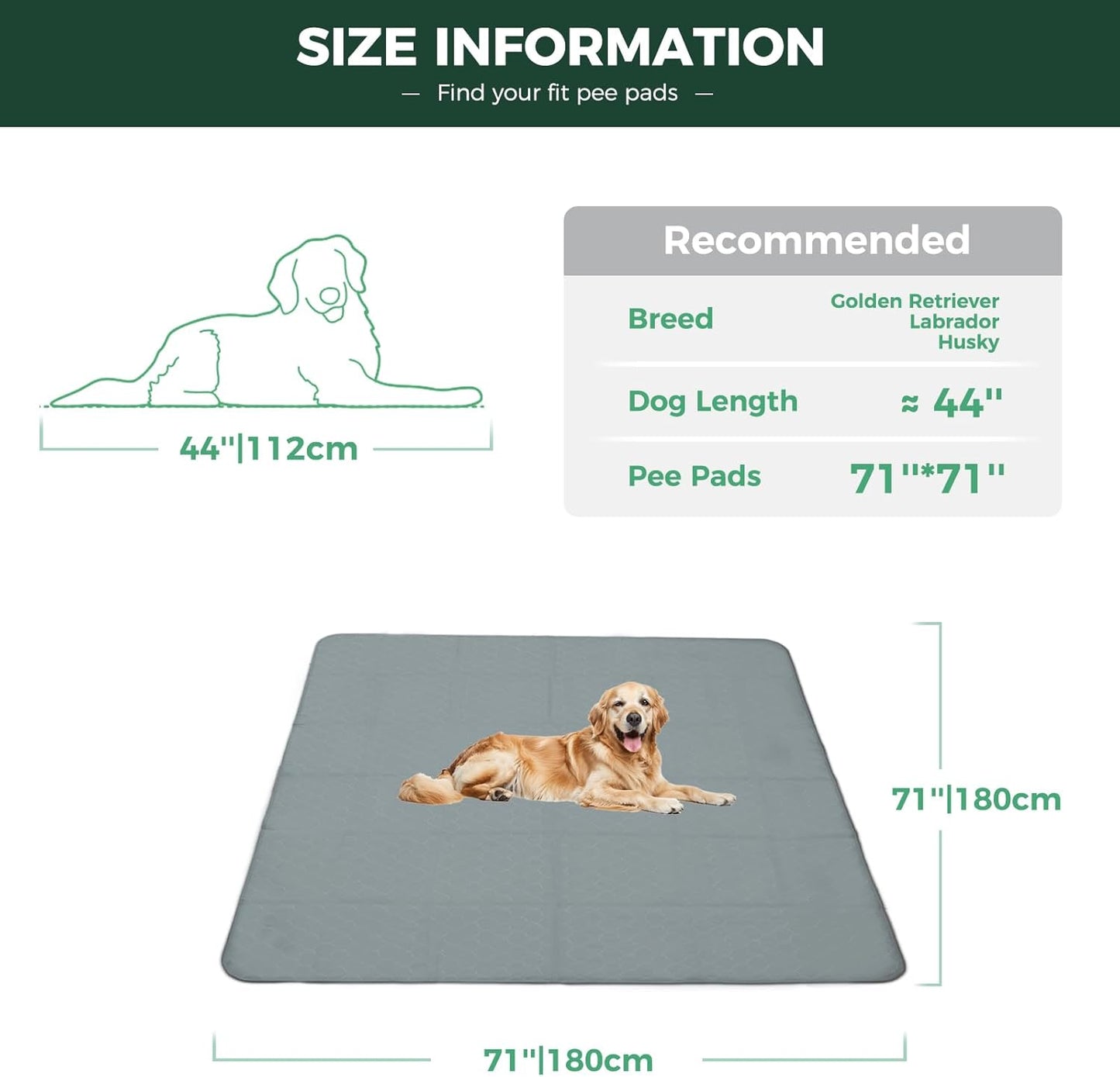 FXW Washable Pee Pads for Dogs, Puppy Pads with Super Absorbent, Specifically Designed for FXW Rollick/Homeplus 24inch 6 Panels Dog Playpen, 39" x 63" Rectangle, Khaki, 1 Pack