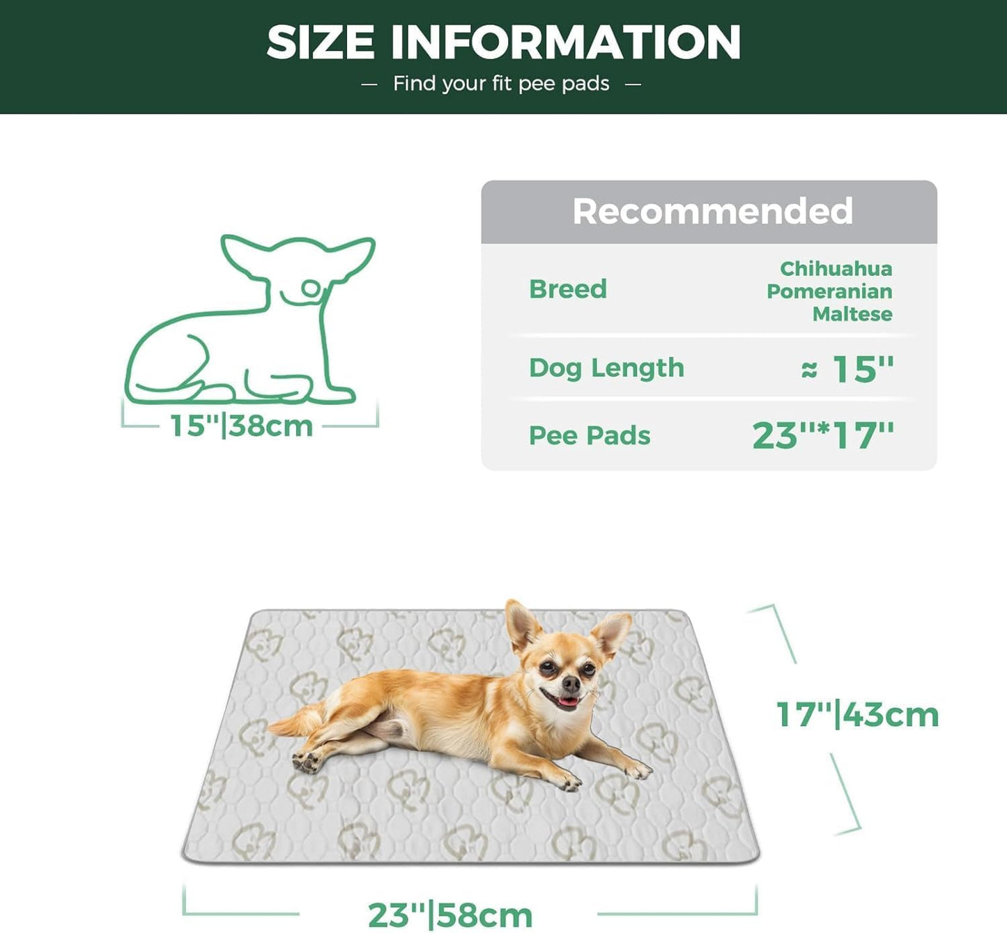 FXW Washable Pee Pads for Dogs, Puppy Pads with Super Absorbent, Specifically Designed for FXW Rollick/Homeplus 24inch 6 Panels Dog Playpen, 39" x 63" Rectangle, Khaki, 1 Pack