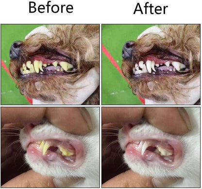 Orgrimmar 2 PCS 3-Sided Pet Toothbrush Dog Toothbrush Removing Bad Breath Tartar Cleaning Mouth Pet Dental Care Cat Cleaning Mouth