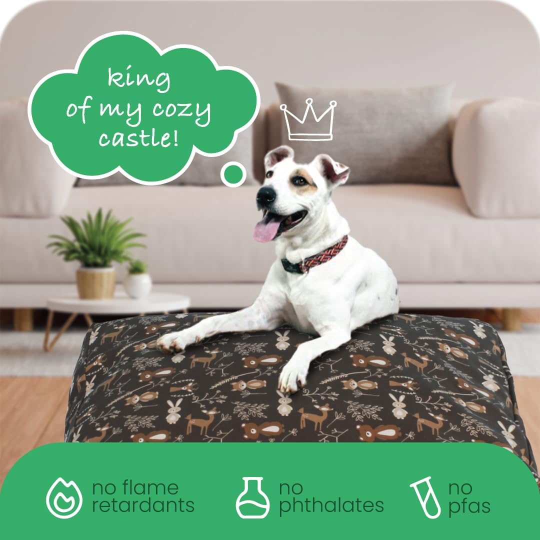 Molly Mutt Medium to Large Dog Bed Cover- Forever Young Print - Measures 27”X36”X5’’ - 100% Cotton - Durable - Breathable - Sustainable - Machine Washable Dog Bed Cover (Dd82b)
