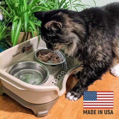 Neater Feeder Express Mess Proof Dog Bowls Elevated for Small Breeds under 15 Lb, Made in USA, No Spill Raised Dog Food Bowl Stand, Stainless Steel Food and Water Bowl Set, Feeding Station, Cappuccino