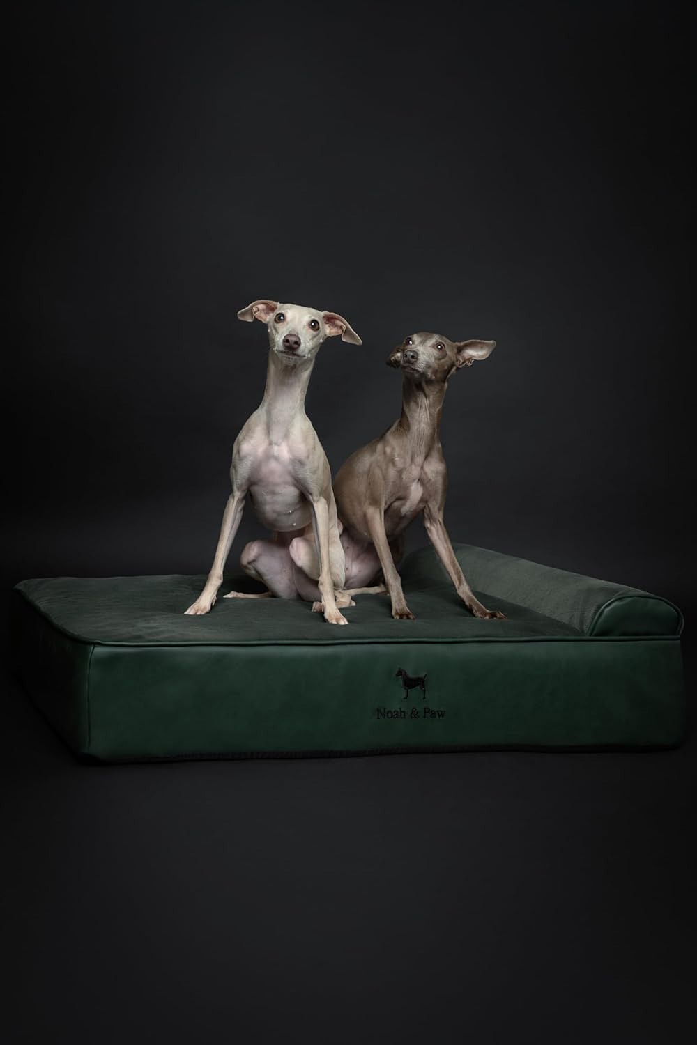 NOAH & PAW Large Dog Bed, 35x25x8.7 Inch, Orthopedic Dog Beds, Eggshell Memory Foam Infused with Cooling Gel, Waterproof, Machine Washable, Includes Inner Cover (Faux Leather)