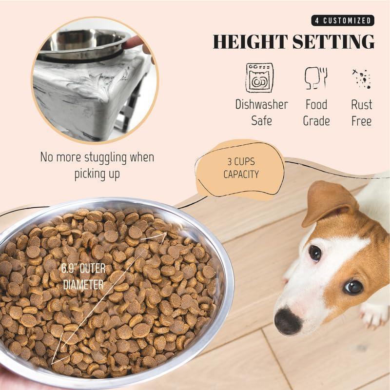 AVERYDAY Elevated Dog Bowls, 4 Height Adjustable Stand for Medium and Large Dogs, Raised Dog Feeder Holder with 2 Stainless Steel Food and Water Bowls, Anti-Slip Base Tall Feeding Station