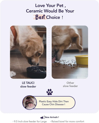 Slow Feeder Dog Bowl - 1.5 Cups Ceramic Puzzle Feeder for Small & Medium Breeds, Maze Design Bowl for Puppy & Fast Eaters, White Pet Dish to Control Eating Speed