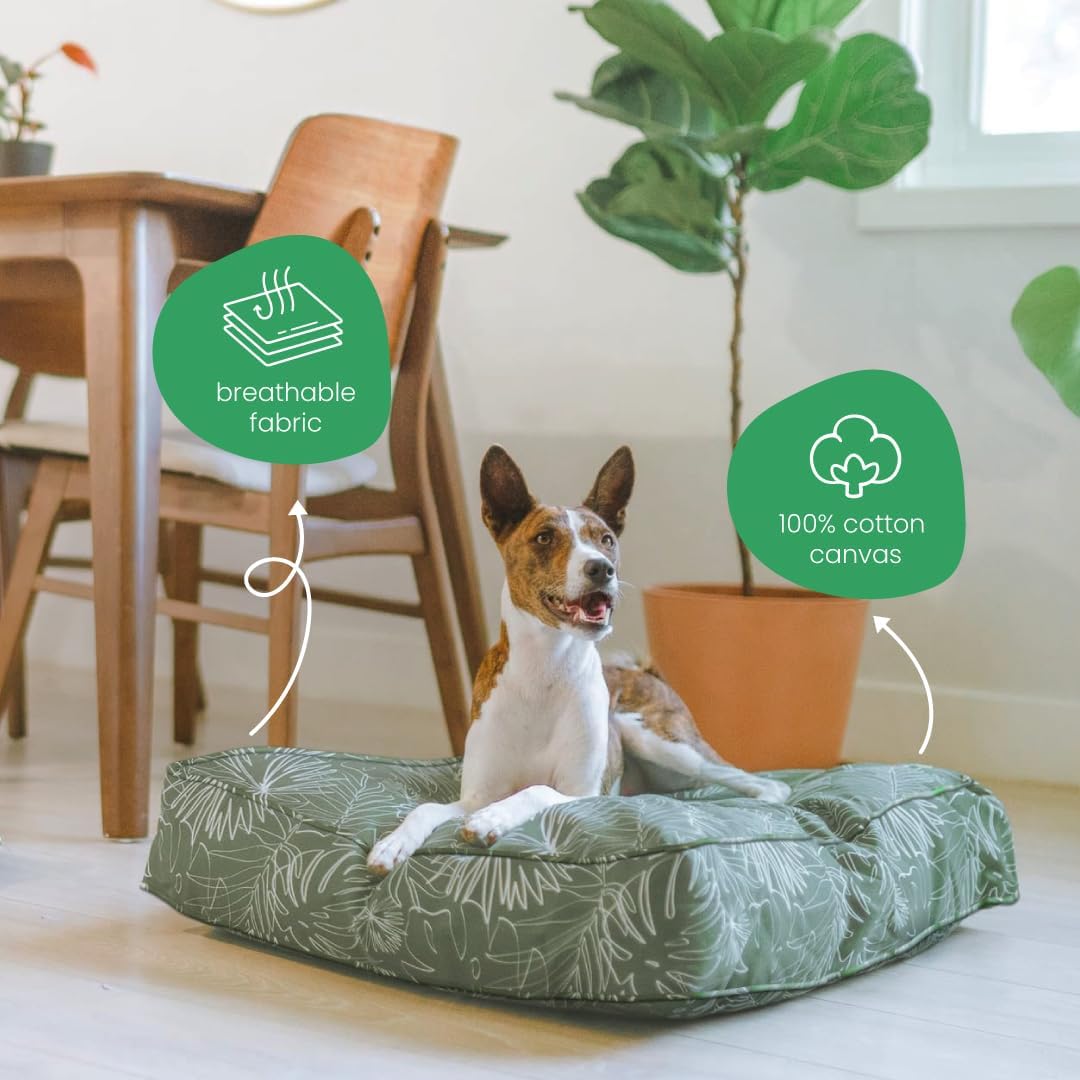 Molly Mutt Medium to Large Dog Bed Cover- Forever Young Print - Measures 27”X36”X5’’ - 100% Cotton - Durable - Breathable - Sustainable - Machine Washable Dog Bed Cover (Dd82b)