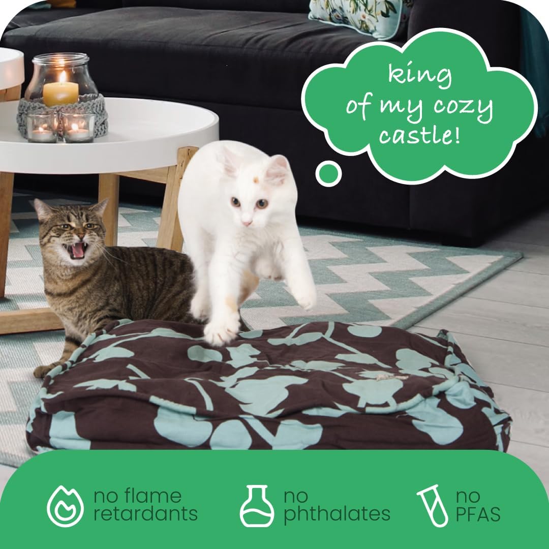 Molly Mutt Medium to Large Dog Bed Cover- Forever Young Print - Measures 27”X36”X5’’ - 100% Cotton - Durable - Breathable - Sustainable - Machine Washable Dog Bed Cover (Dd82b)