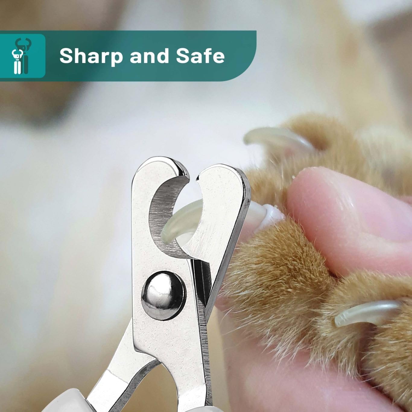 Mr. Pen- Cat Nail Clipper, Stainless Steel, Professional Sharp Cat Claw Trimmer for Small and Medium Cats, Pet Nail Clipper with Sturdy Non Slip Handle