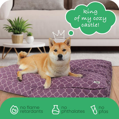 Molly Mutt Medium to Large Dog Bed Cover- Forever Young Print - Measures 27”X36”X5’’ - 100% Cotton - Durable - Breathable - Sustainable - Machine Washable Dog Bed Cover (Dd82b)