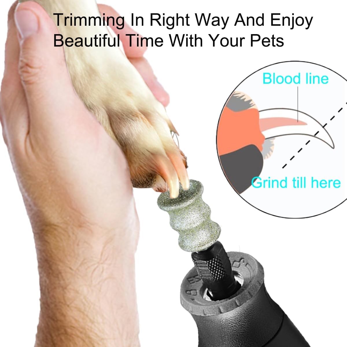 Diamond Rotary Grinder Bits for Dog - Pet Nail Grinder Attachment - 1/8" Replacement Grinder Wheel for Dremel - Pet Nail File & Clippers for Medium Large Dogs (XL)