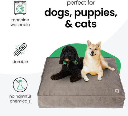 Molly Mutt Medium to Large Dog Bed Cover- Forever Young Print - Measures 27”X36”X5’’ - 100% Cotton - Durable - Breathable - Sustainable - Machine Washable Dog Bed Cover (Dd82b)