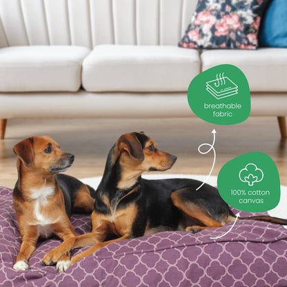 Molly Mutt Medium to Large Dog Bed Cover- Forever Young Print - Measures 27”X36”X5’’ - 100% Cotton - Durable - Breathable - Sustainable - Machine Washable Dog Bed Cover (Dd82b)