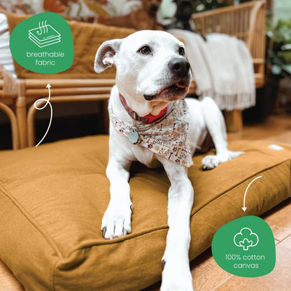 Molly Mutt Medium to Large Dog Bed Cover- Forever Young Print - Measures 27”X36”X5’’ - 100% Cotton - Durable - Breathable - Sustainable - Machine Washable Dog Bed Cover (Dd82b)