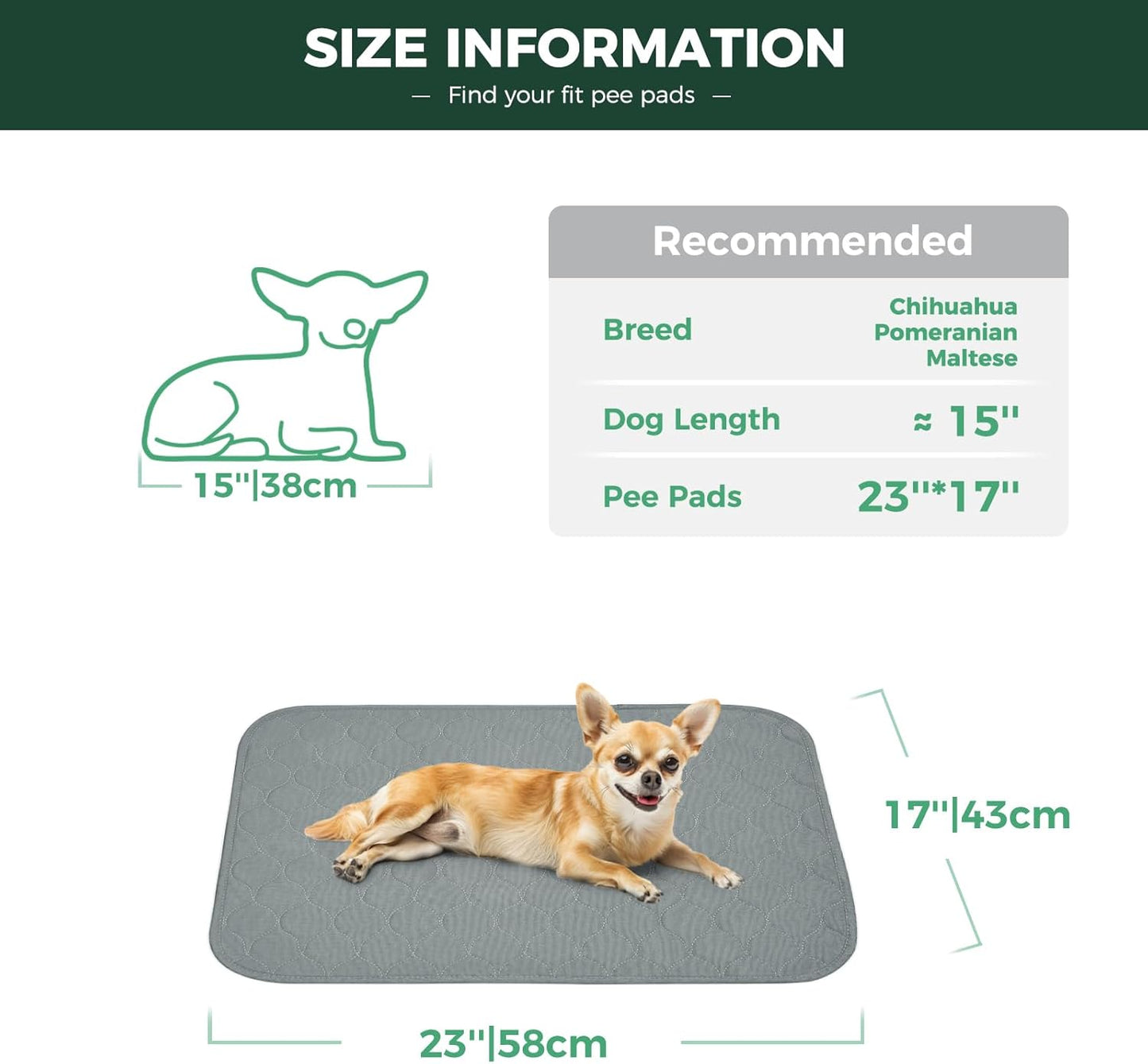 FXW Washable Pee Pads for Dogs, Puppy Pads with Super Absorbent, Specifically Designed for FXW Rollick/Homeplus 24inch 6 Panels Dog Playpen, 39" x 63" Rectangle, Khaki, 1 Pack