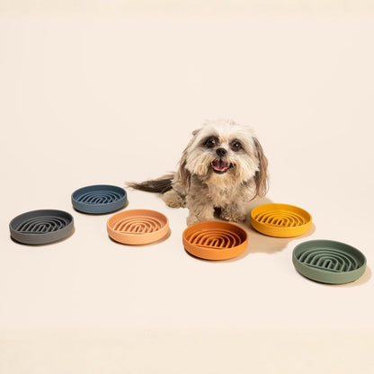 Should We Go? Slow Feeder for Dogs & Puppies, The Slowdown Bowl Silicone Slow Eating, Modern Lick Mat Design, Reduces Gulping, Fits 2 Cups, 7.5” Across x 1.5” Tall, Mealtime Challenge, Medium-Blush