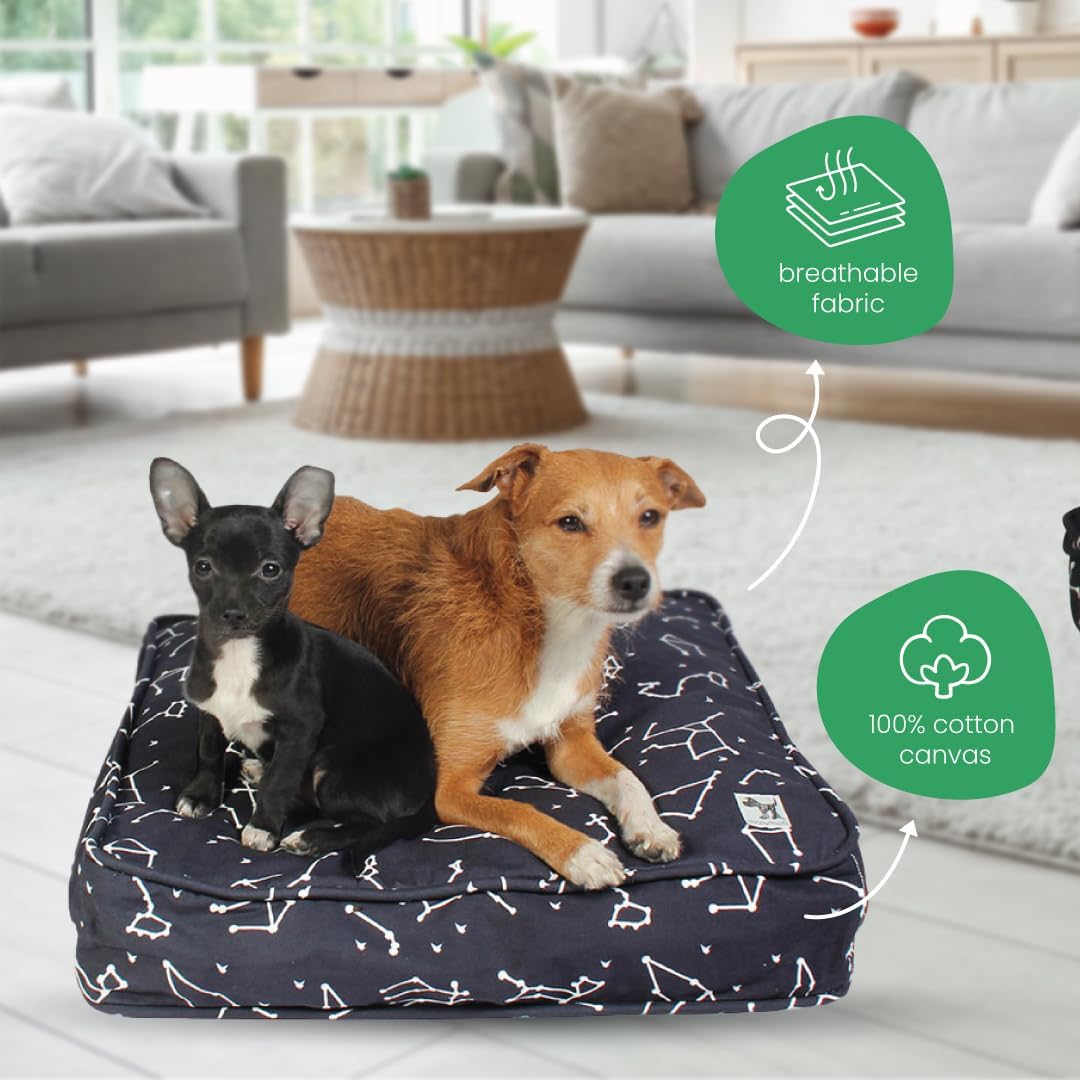 Molly Mutt Medium to Large Dog Bed Cover- Forever Young Print - Measures 27”X36”X5’’ - 100% Cotton - Durable - Breathable - Sustainable - Machine Washable Dog Bed Cover (Dd82b)