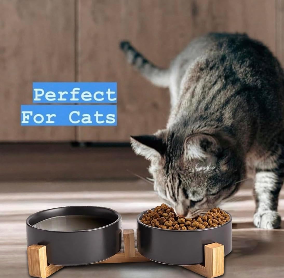 Ceramic Cat and Small Dog Bowl Set – Modern Indoor Small Size Pet Food and Water Bowls with Wood Stand – Non Slip Puppy Sized Feeding Station with Double Dishes (Gray)