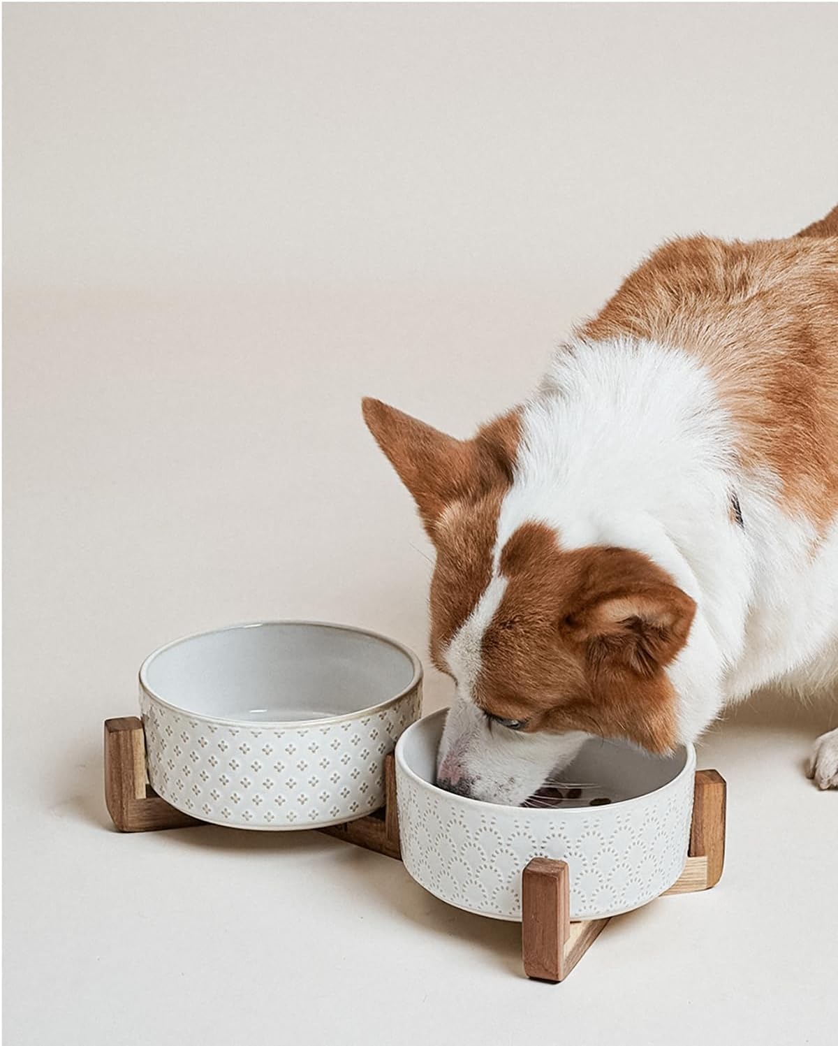 LE TAUCI Dog Bowl Set with Acacia Wood Stand - 1.5-Cup Ceramic Puppy Bowls for Small Dogs, Dual Food and Water Bowls with Weighted Non-Slip Base