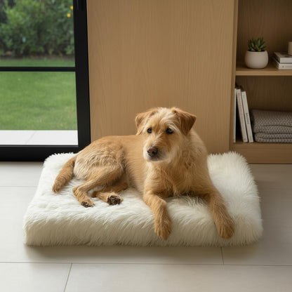 IHAPPYDOG Luxury Faux Fur Orthopedic Dog Bed, Memory Foam Dog Bed for Small, Medium, Large and XL Pets, Fluffy Pet Bed with Waterproof and Washable Cover (White w/Brown Tips, 50"x30")