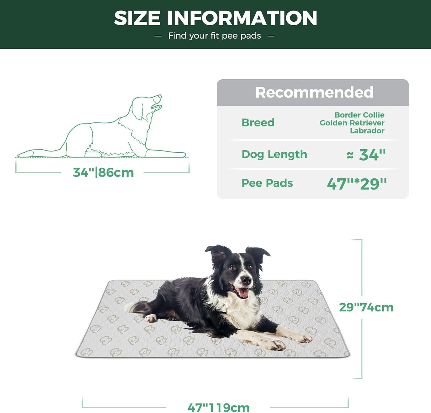 FXW Washable Pee Pads for Dogs, Puppy Pads with Super Absorbent, Specifically Designed for FXW Rollick/Homeplus 24inch 6 Panels Dog Playpen, 39" x 63" Rectangle, Khaki, 1 Pack
