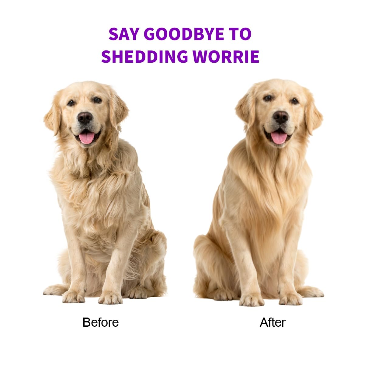 Dog & Cat Deshedding Brush, Undercoat Grooming Tool for Short to Medium and Double Coats, Detachable Metal Shedding Blade, Ergonomic Non-Slip Handle, Black