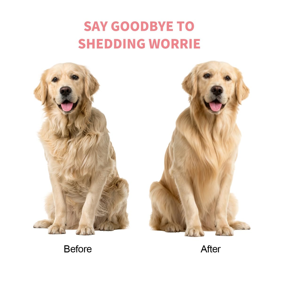 Dog & Cat Deshedding Brush, Undercoat Grooming Tool for Short to Medium and Double Coats, Detachable Metal Shedding Blade, Ergonomic Non-Slip Handle, Black