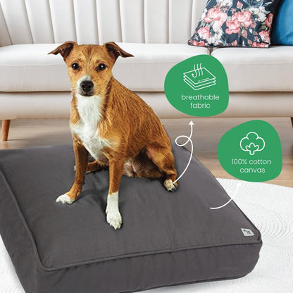 Molly Mutt Medium to Large Dog Bed Cover- Forever Young Print - Measures 27”X36”X5’’ - 100% Cotton - Durable - Breathable - Sustainable - Machine Washable Dog Bed Cover (Dd82b)