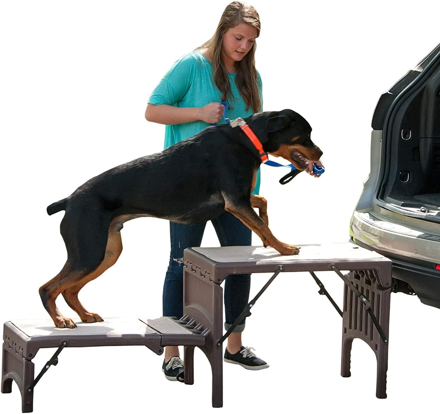 Pet Gear Free Standing Pet Ramp for Cats and Dogs, No Assembly Required, Easy Fold for Storage or Travel, Portable, Holds Up to 100lbs, Wheat